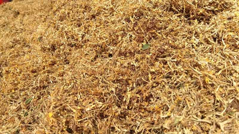 金银花，零售，物流发货，大货装车，贵州山银花。