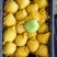 酥脆一号518青皮蜜梨产地货源充足蜜甜细肉多汁