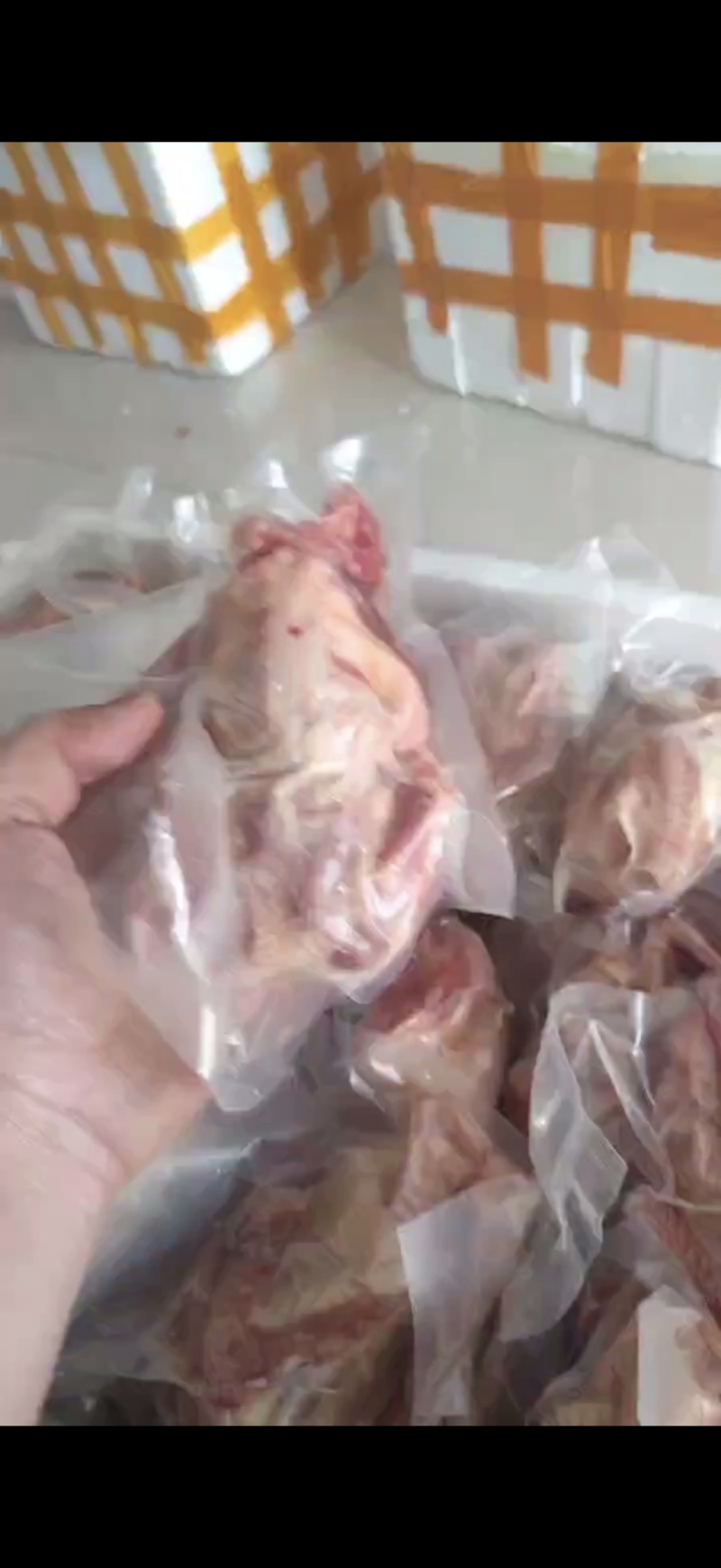 【推荐】乳鸽常年有货养殖场一手货源品质好价格低欢迎电联