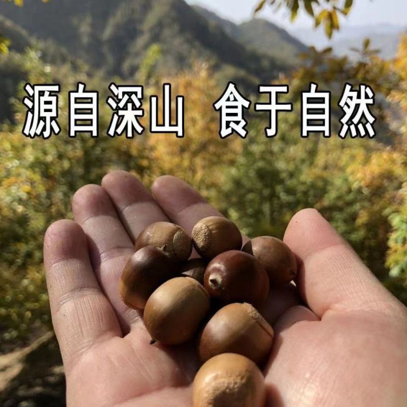 四川巴中通江县橡子，大量有货