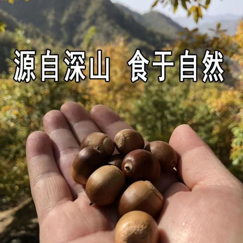 四川巴中通江县橡子，大量有货