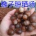 四川巴中通江县橡子，大量有货