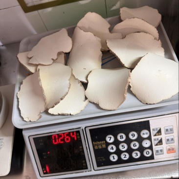 特大片虎乳片，巴掌大，货细腻，又白净。