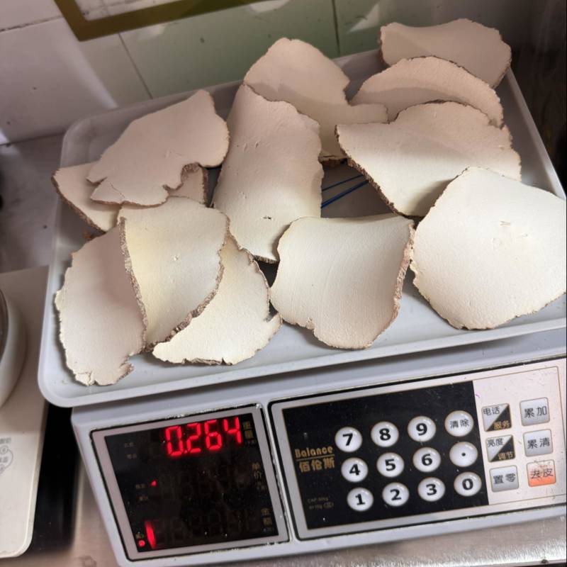 特大片虎乳片，巴掌大，货细腻，又白净。