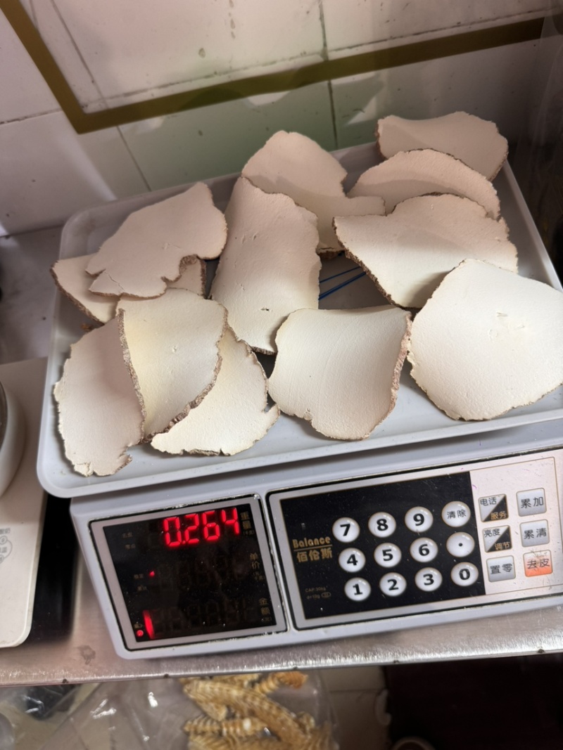 特大片虎乳片，巴掌大，货细腻，又白净。