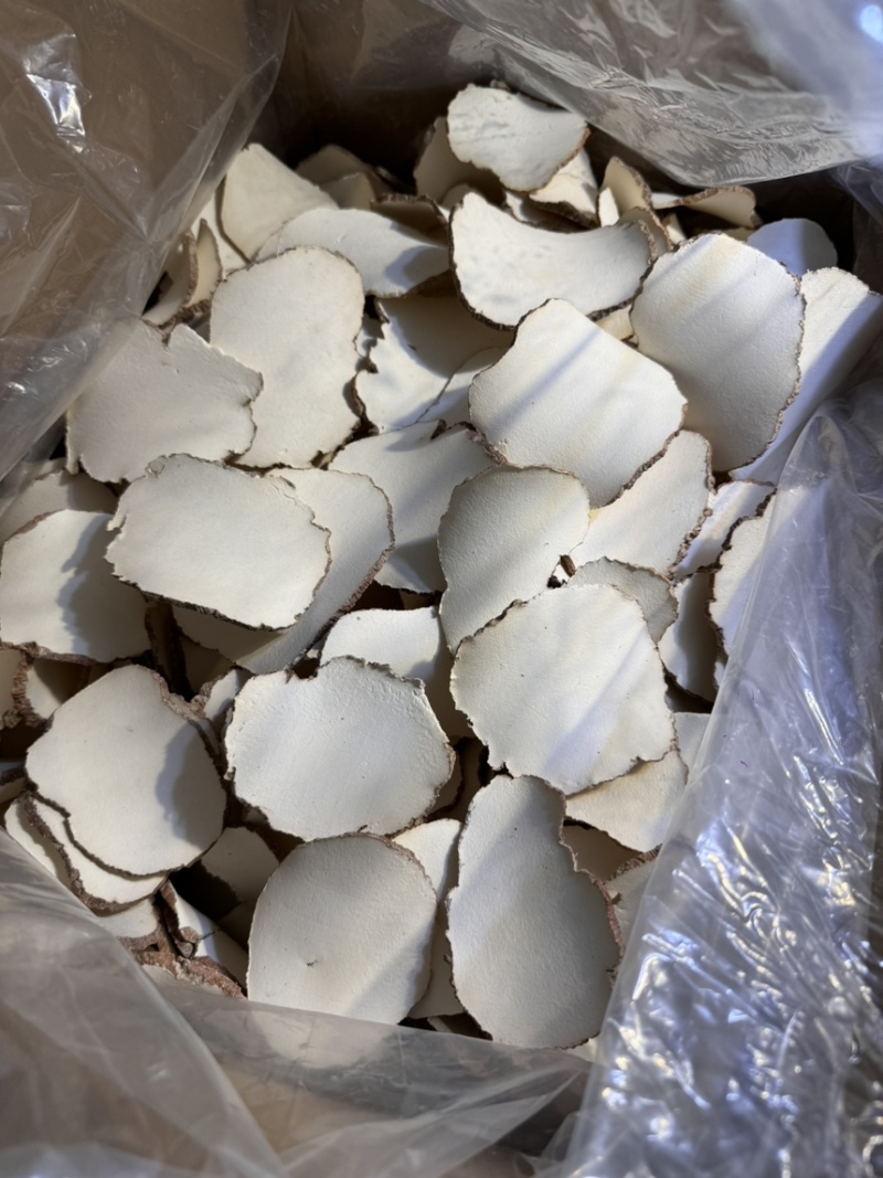 特大片虎乳片，巴掌大，货细腻，又白净。