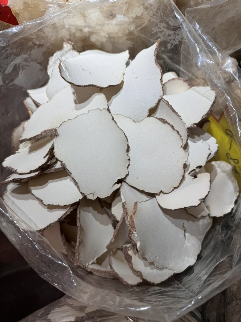特大片虎乳片，巴掌大，货细腻，又白净。