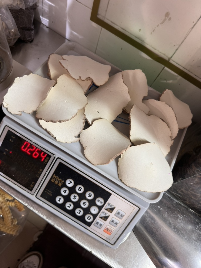 特大片虎乳片，巴掌大，货细腻，又白净。