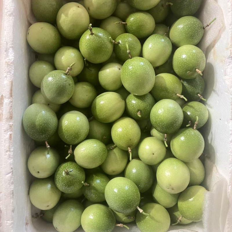 百香果（市场，电商，工厂货）