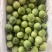 百香果（市场，电商，工厂货）