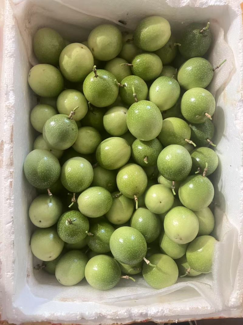 百香果（市场，电商，工厂货）