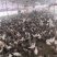 【精品现货】肉鸽乳鸽厂家供应，一手货源对接各大市场餐厅可发