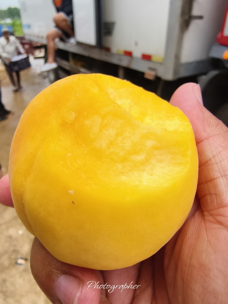 黄桃，大量供应电商，市场，商超，规格齐全，品质保证