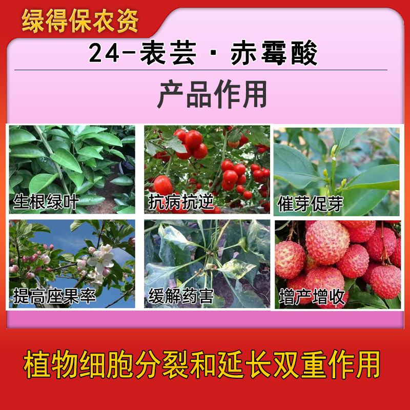 24-表芸赤霉酸植物生长调节剂促花催芽缓解药害辅助生长