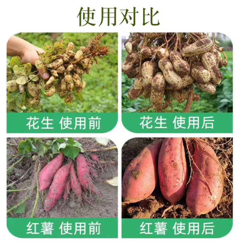 24-表芸赤霉酸植物生长调节剂促花催芽缓解药害辅助生长