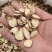 红皮甘草1.5-2.0中药材批发产地直供欢迎咨询