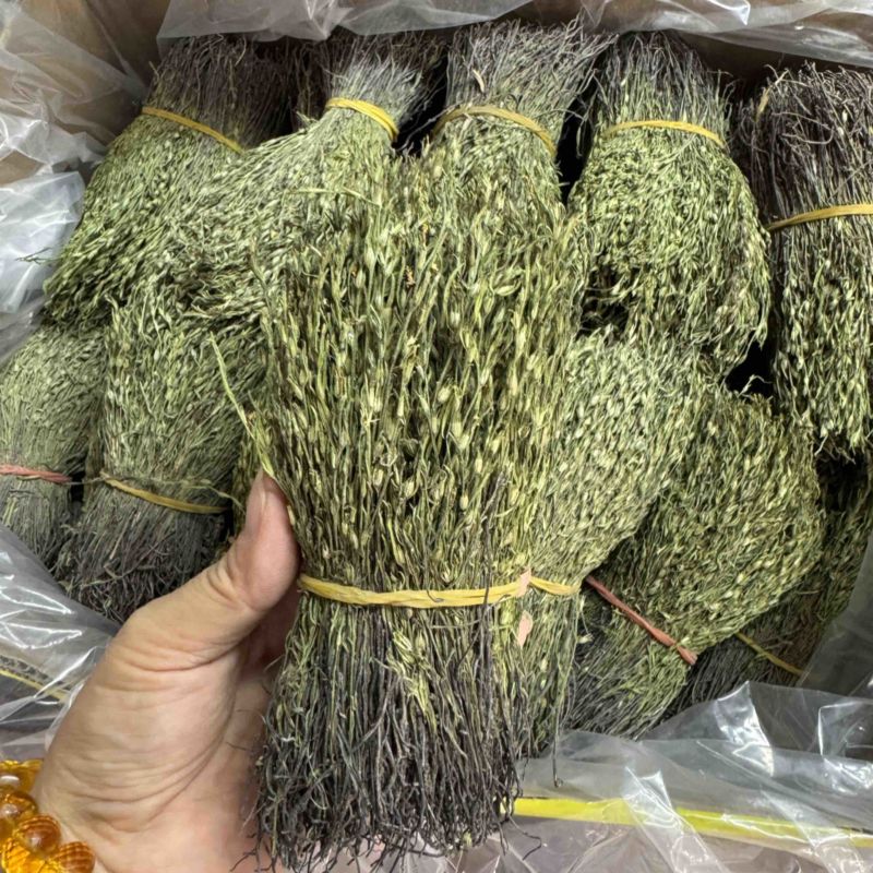 独脚金新货，颜色青绿，无包芯