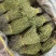 独脚金新货，颜色青绿，无包芯