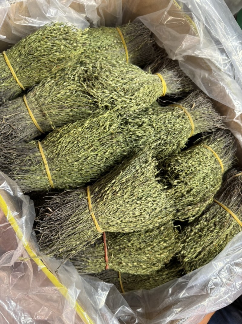 独脚金新货，颜色青绿，无包芯