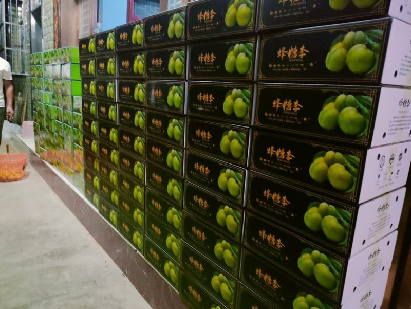 中国六马蜂糖李批发
