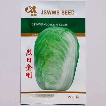 夏季耐热白菜种子夏季耐高温早秋白菜早熟白菜种子