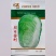 夏季耐热白菜种子夏季耐高温早秋白菜早熟白菜种子