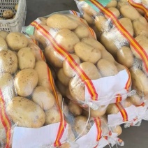陕西精品土豆，基地直发，鲜果个大，量大从优欢迎来电。