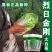 夏季耐热白菜种子夏季耐高温早秋白菜早熟白菜种子