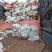 广东精品香蕉苹果蕉基地直供货源充足量大供全国商
