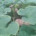头茬南瓜