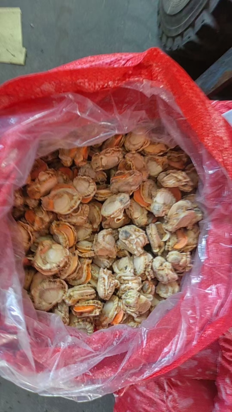 扇贝肉扇贝干诚信经营，质量保证产地直发弹性十足