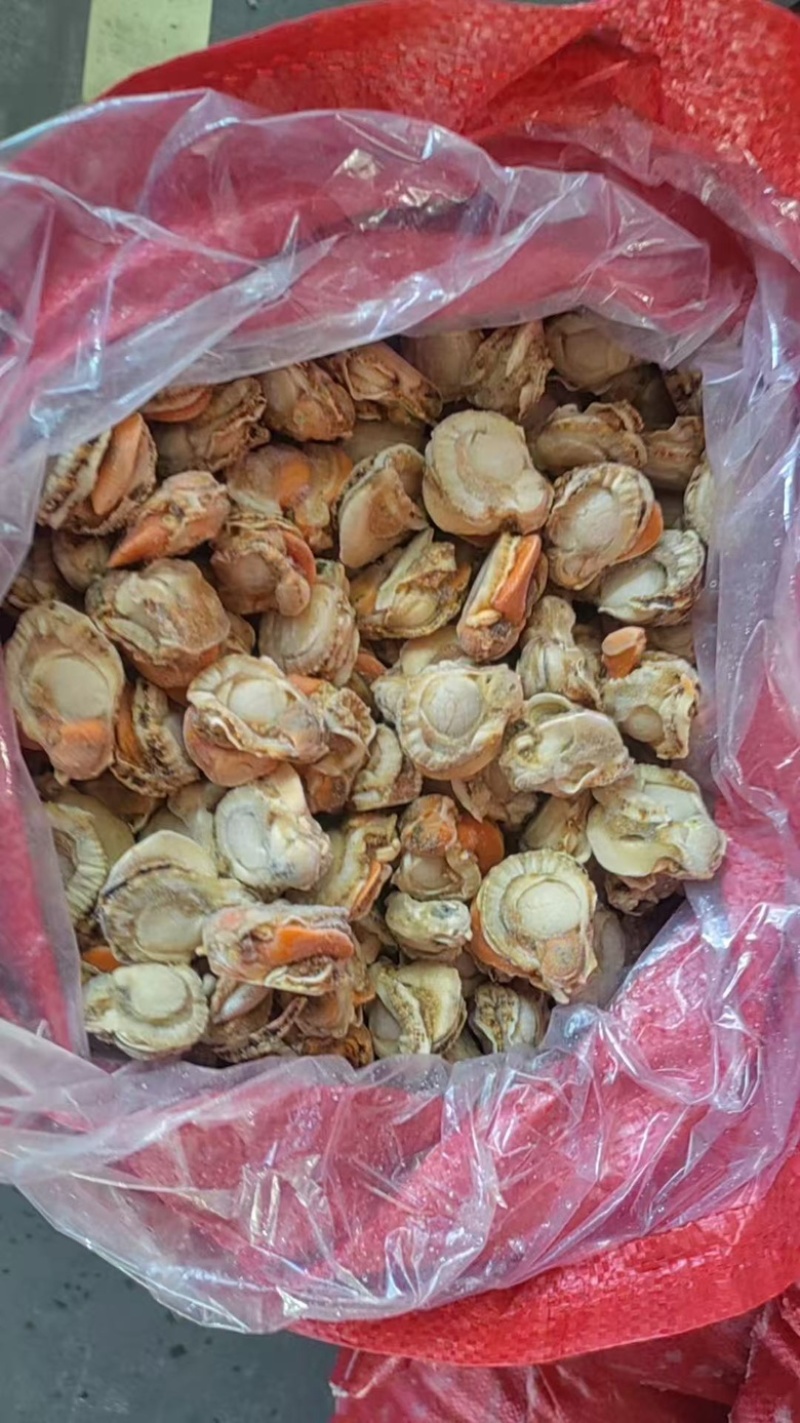 扇贝肉扇贝干诚信经营，质量保证产地直发弹性十足