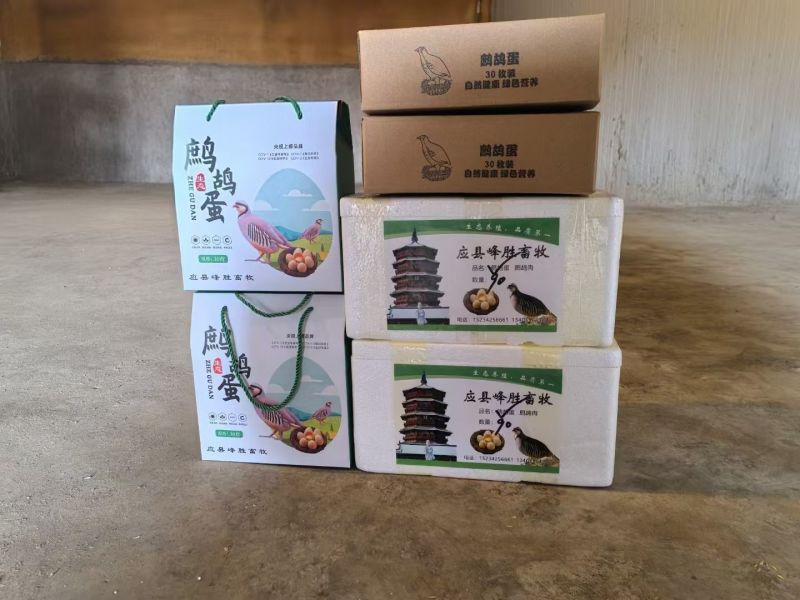 新鲜鹧鸪蛋、受精鹧鸪蛋、可孵化鹧鸪蛋、竟然鹧鸪蛋