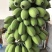 广东精品香蕉苹果蕉基地直供货源充足量大供全国商
