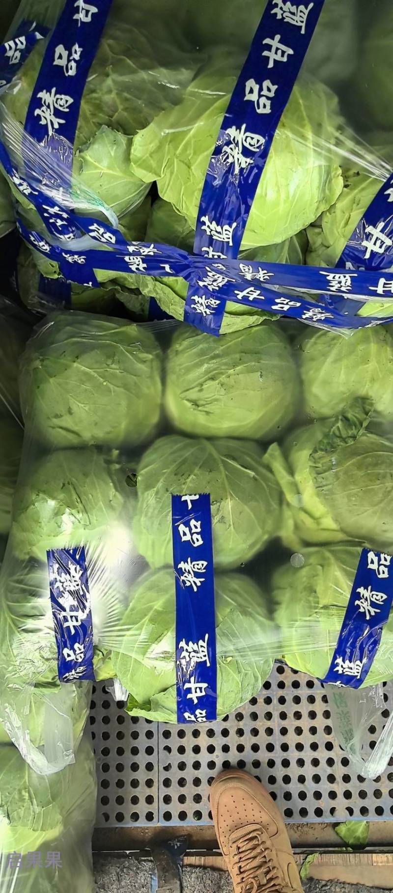 河北一级绿甘蓝，河北邯郸一级手撕绿甘蓝，河北张家口绿甘蓝