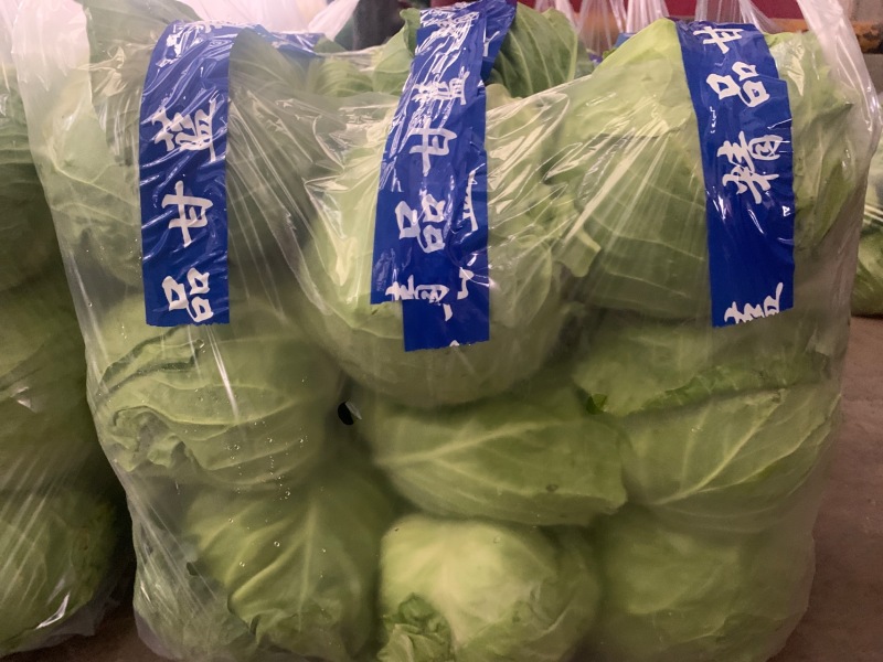 河北一级绿甘蓝，河北邯郸一级手撕绿甘蓝，河北张家口绿甘蓝