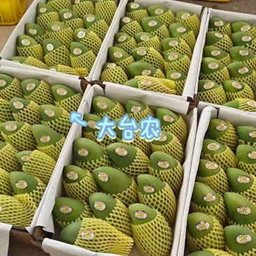 大台农大贵妃精品礼盒，56元/件。包邮到家
