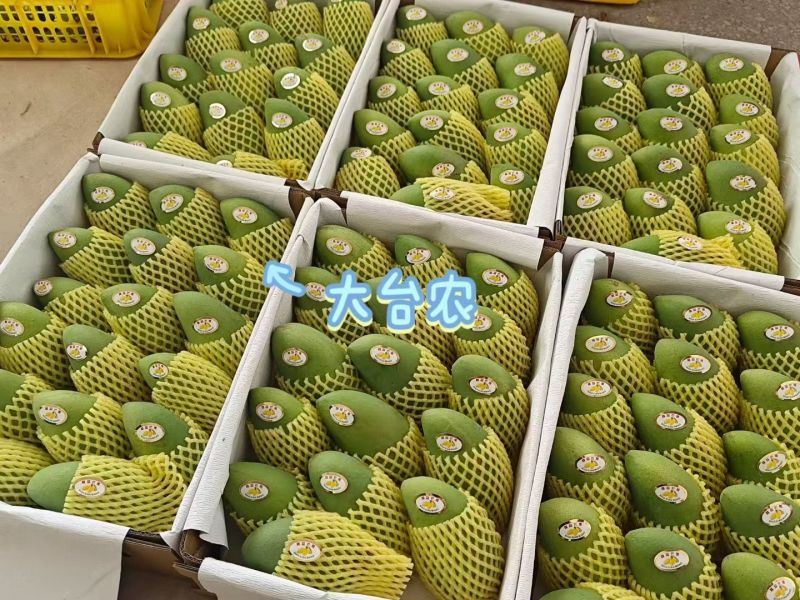 大台农大贵妃精品礼盒，56元/件。包邮到家