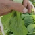 上海青小油菜阳谷小油菜货源稳定一手货源产地直发