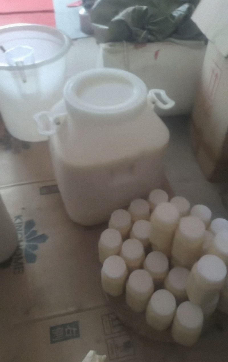 纯蜂蜜枣花蜜槐花蜜蜂巢蜜等