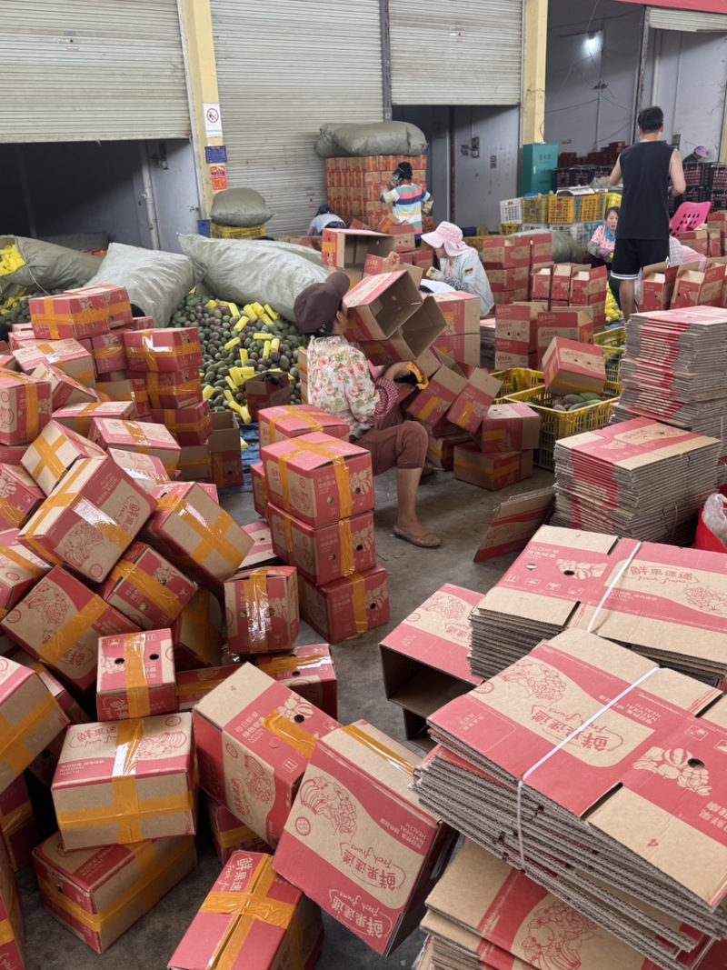 红象牙9号芒果统货、精品货上市【广西直供欢迎咨询订购】