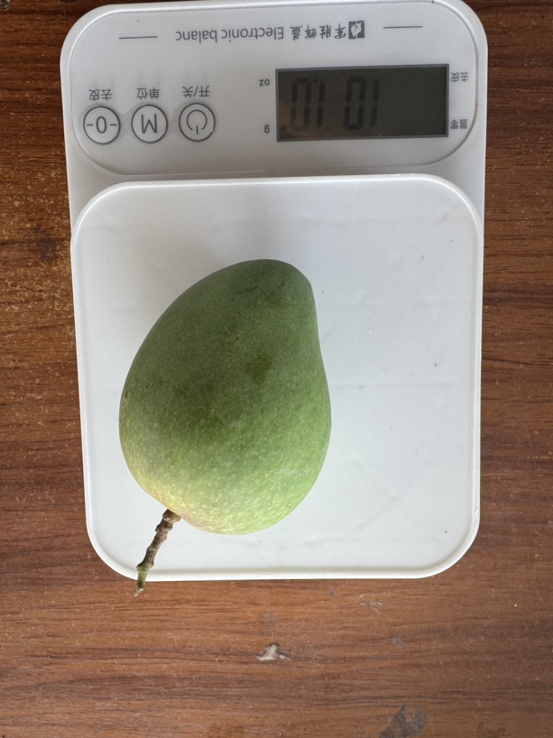 精选广西小台芒果小芒果广西芒果产地直发价格实惠欢迎联系