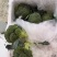 江苏一级西兰花，江苏A级精品西兰花，江苏一级西兰花西蓝花
