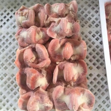 鸡胗肉食三黄鸡胗规格全产量稳定全国冷链物流发货