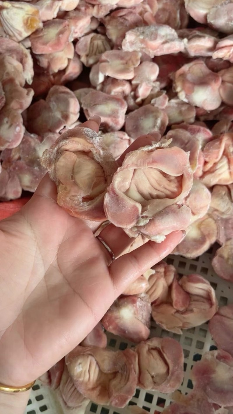 鸡胗肉食三黄鸡胗规格全产量稳定全国冷链物流发货