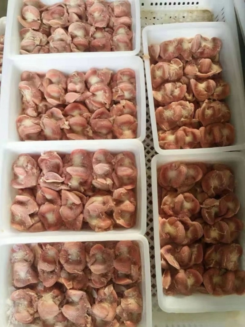 鸡胗肉食三黄鸡胗规格全产量稳定全国冷链物流发货