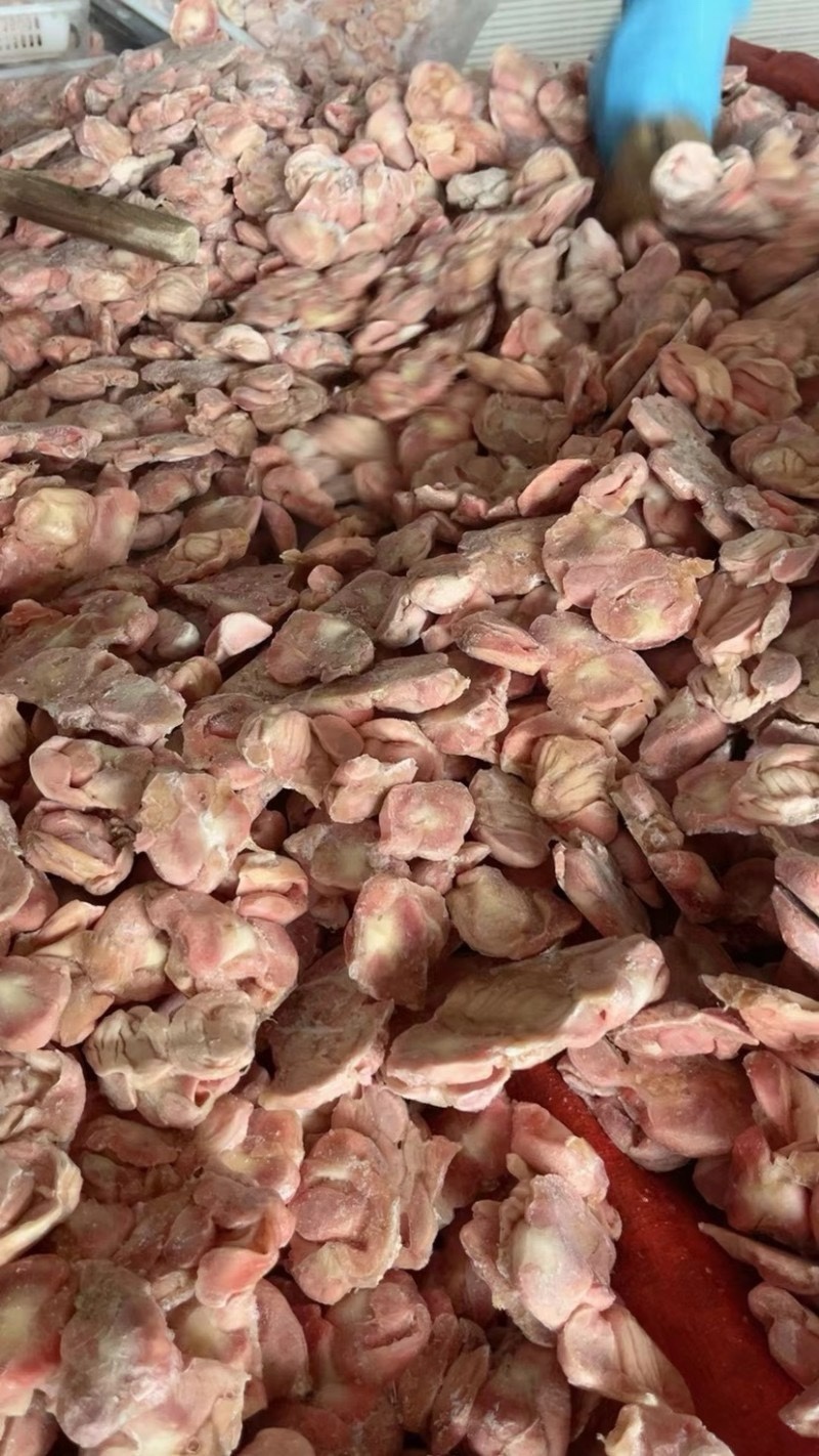 鸡胗肉食三黄鸡胗规格全产量稳定全国冷链物流发货