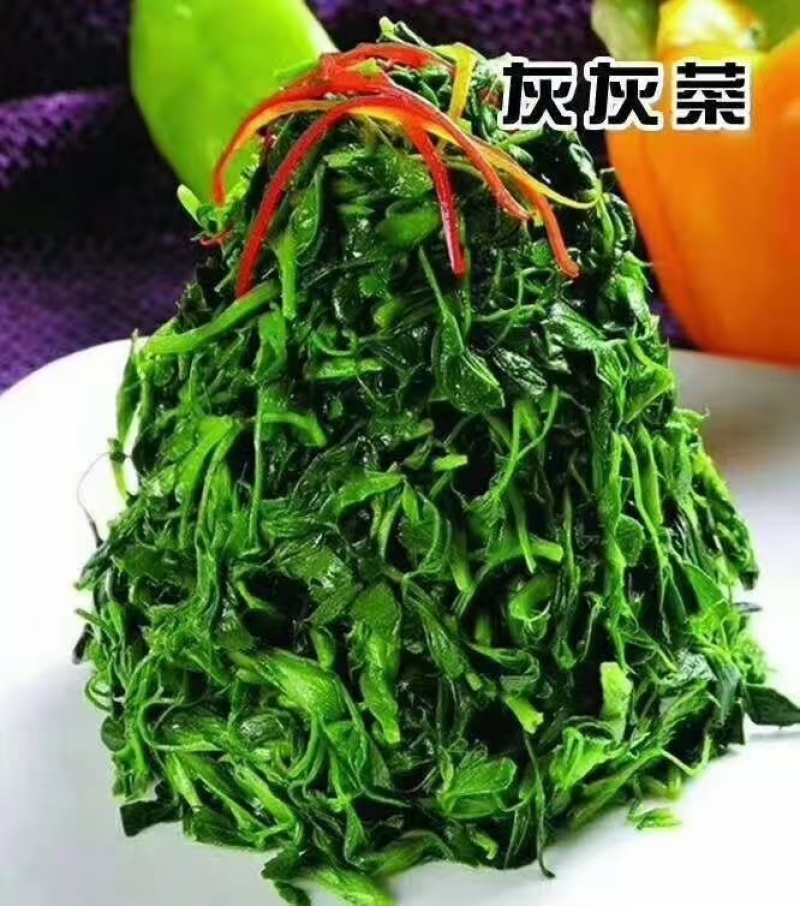 【推荐】河南灰灰菜速冻灰灰菜净菜品质保障对接全国