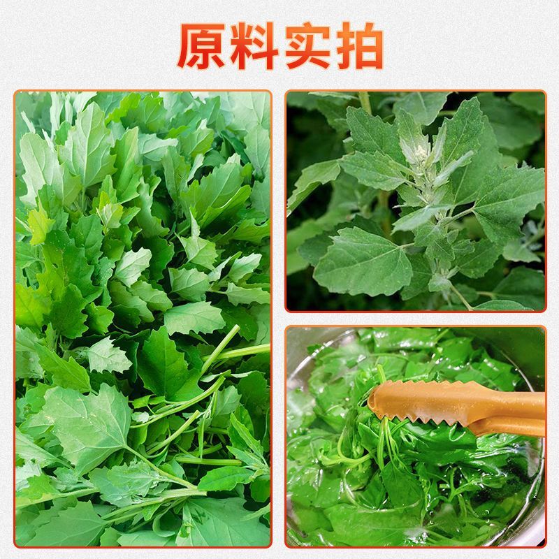【推荐】河南灰灰菜速冻灰灰菜净菜品质保障对接全国