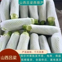 《绿皮西葫芦》山西基地直发对接商超团购供应链一条龙服务